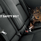 2-Pack Pet Seat Belts, $6 with code YGYTVYMV